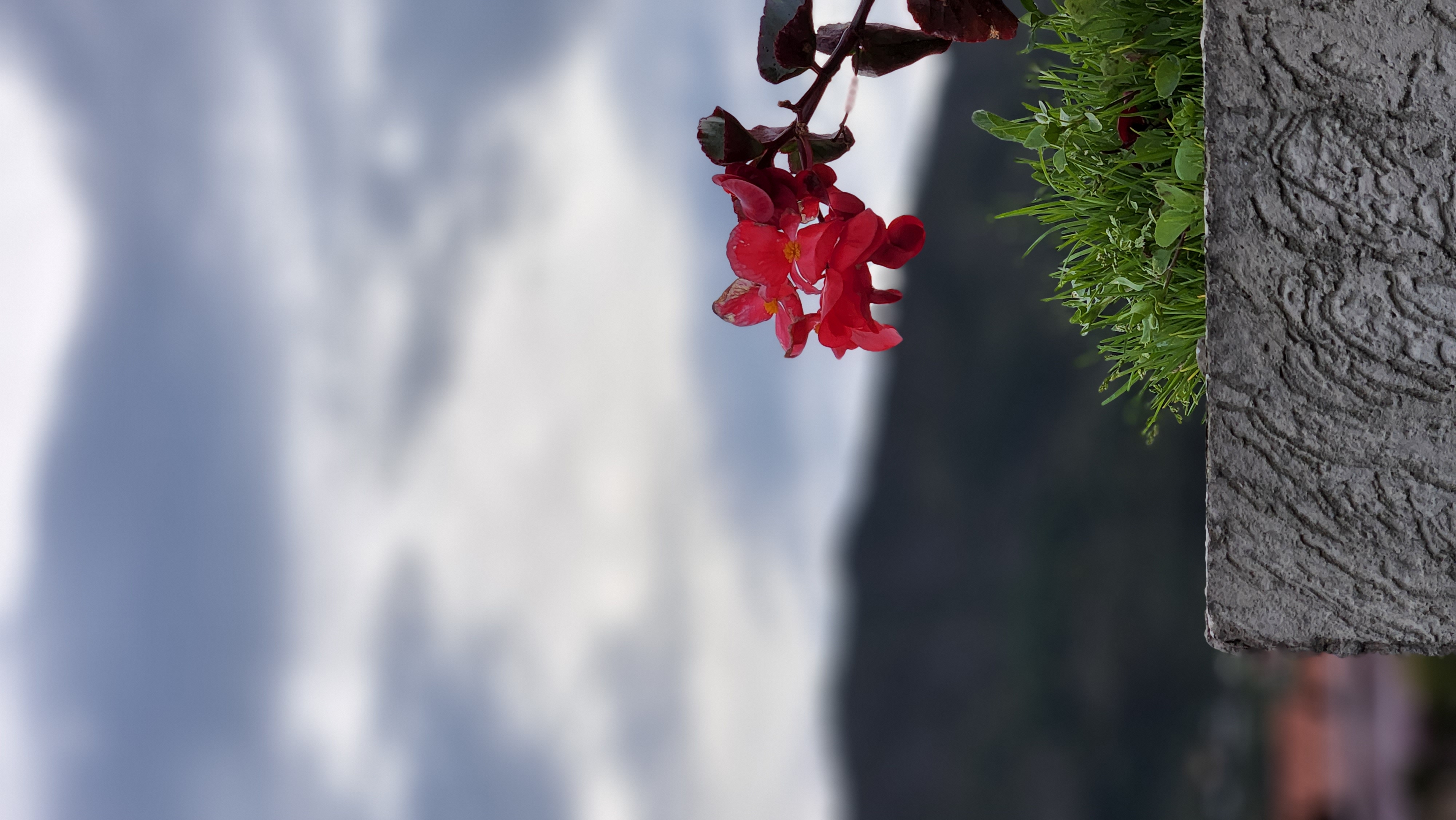 Fotografía de naturaleza 4